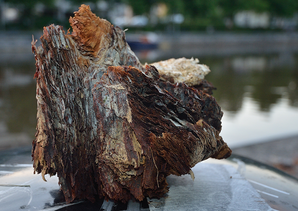 20130612-052-Turku.jpg - The piece of wood being photographed